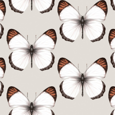 Обои 54401-3 Andrea Rossi Cheradi