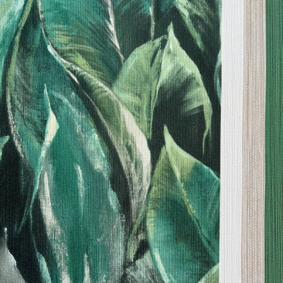 Обои 537048 Rasch Curiosity