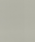 Обои 977615 Rasch Incanto