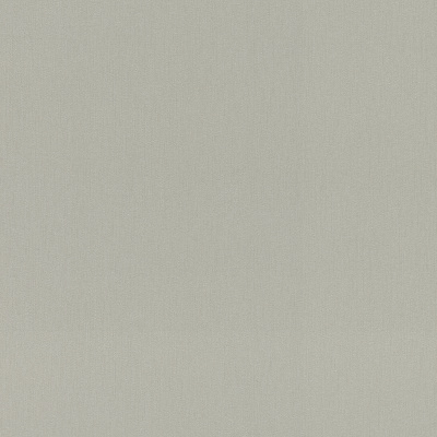 Обои 977615 Rasch Incanto