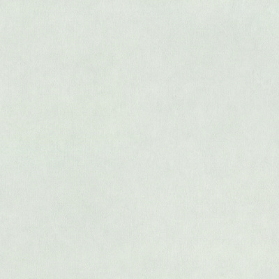 Обои 15023-7 Alessandro Allori Argiano