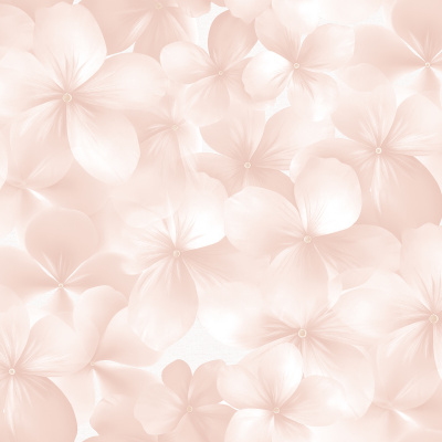 Обои 54483-3 Andrea Rossi Spectrum Boom