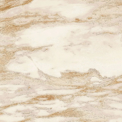 Обои 21024 Emiliana Parati Roberto Cavalli 9