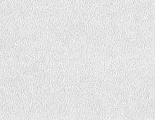 Обои RC17079 Roberto Cavalli Home 6