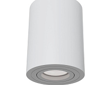 Потолочный светильник Technical Ceiling & Wall C016CL-01W