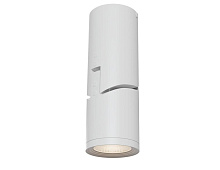 Потолочный светильник Technical Ceiling & Wall C019CW-01W